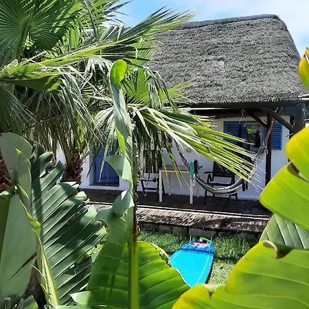 Luca. Exotico En La Playa *