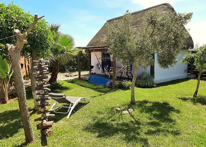 Luca. Exotico En La Playa Cadiz