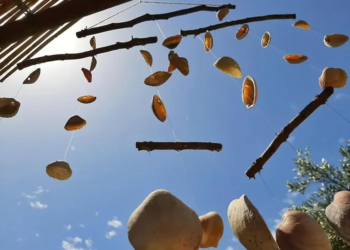 Luca. Exotico En La Playa * Cadiz