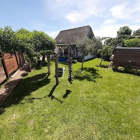 Luca. Exotico En La Playa *