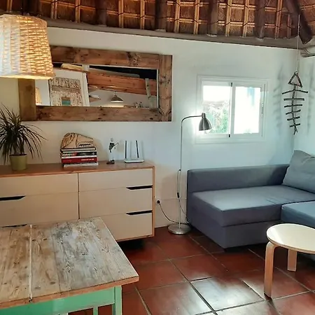 Luca. Exotico En La Playa