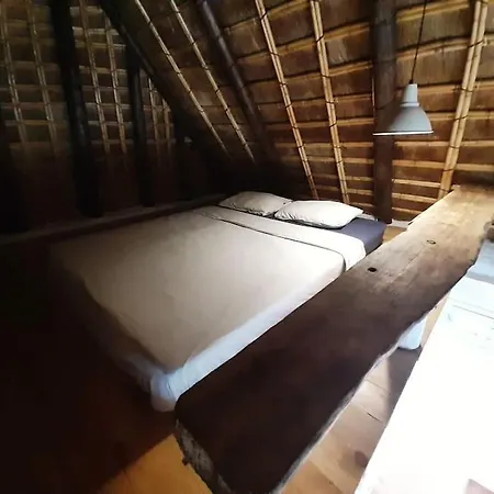 Luca. Exótico En La Playa