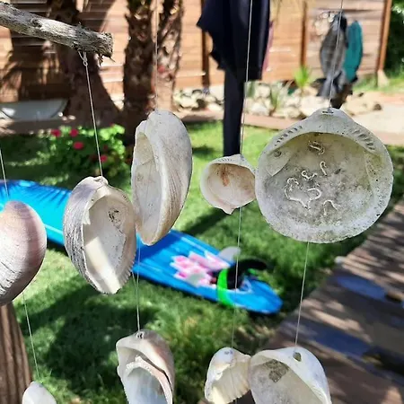 Luca. Exótico En La Playa