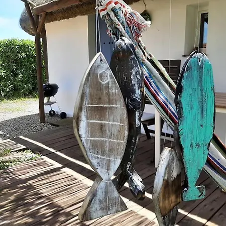 Luca. Exótico En La Playa