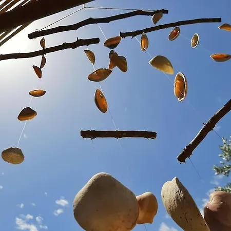 Luca. Exotico En La Playa * Cádiz