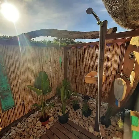 Luca. Exotico En La Playa