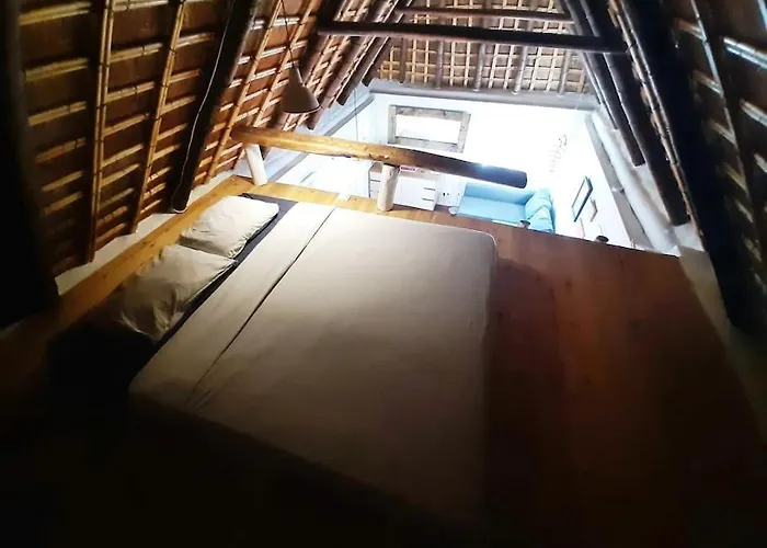 Luca. Exotico En La Playa Καντίζ