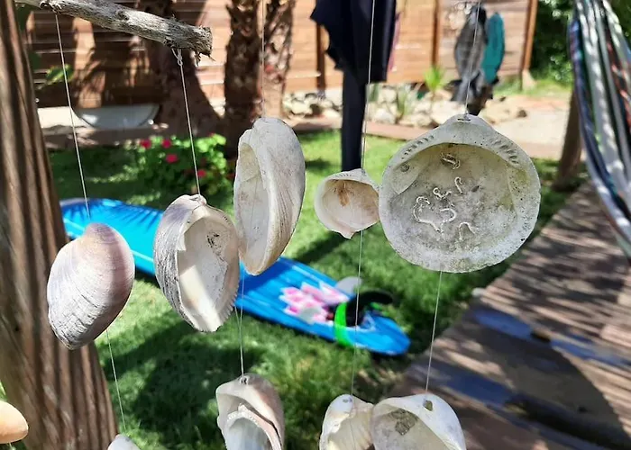 Luca. Exotico En La Playa