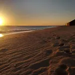 Luca. Exotico En La Playa * Cádiz