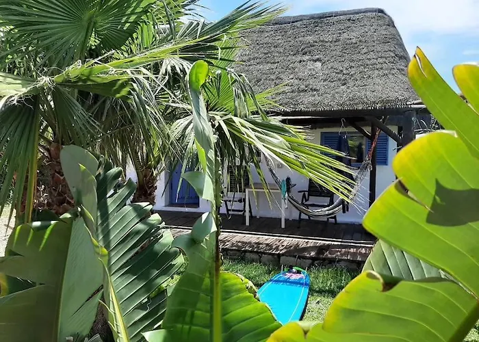 Luca. Exotico En La Playa *