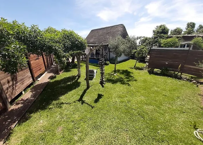 Luca. Exotico En La Playa *