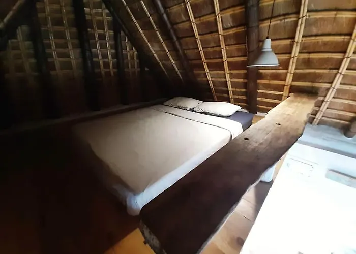 Luca. Exotico En La Playa