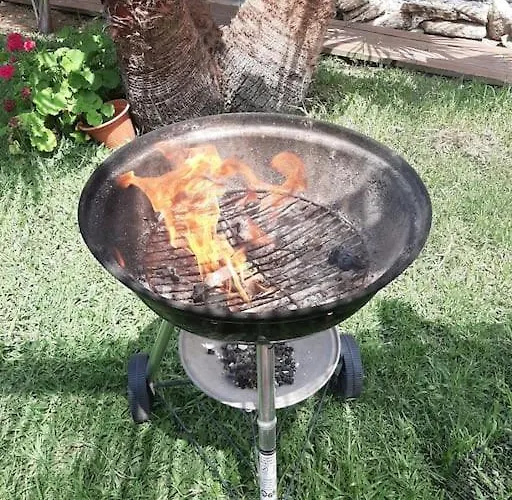 Luca. Exotico En La Playa Kadyks