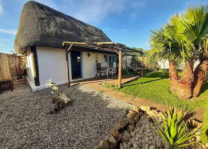 Luca. Exotico En La Playa *