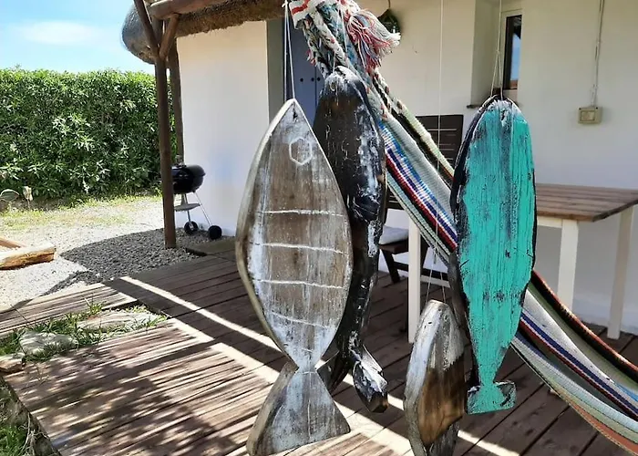 Luca. Exotico En La Playa